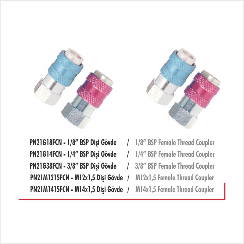 PN21G14FN 1/4” BSP Dişi Uç Pnömatik Otomatik Rekor 0-40 Bar