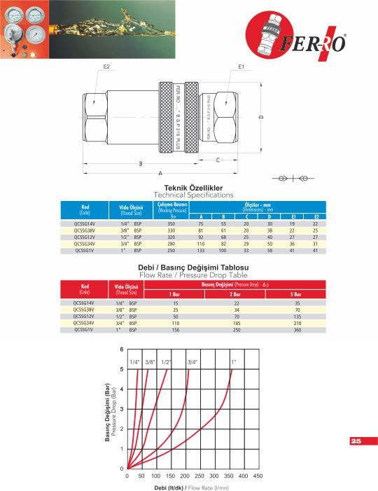 QCSSG14FV 1/4” BSP AISI 316-L Paslanmaz Otomatik Rekor -Dişi- 350 Bar