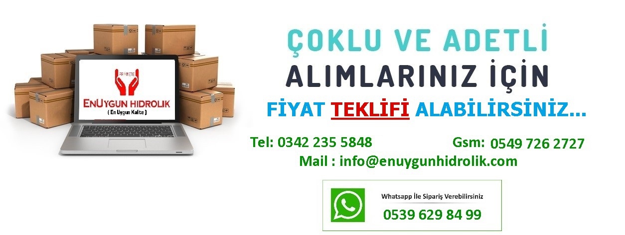 QCG38SN 3/8” BSP Hidrolik Otomatik Rekor Takım 330 Bar - En