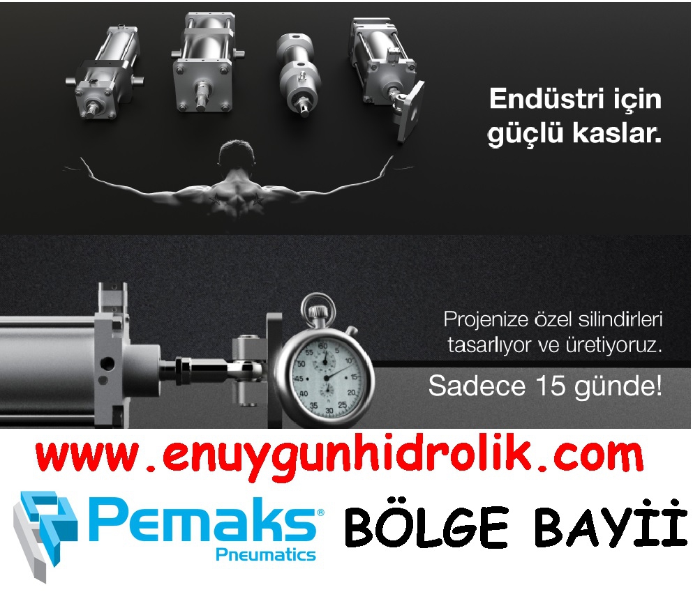 32x200 PAG Serisi CETOP Alüminyum Profil Gövdeli Pnömatik Silindir ( PEMAKS )