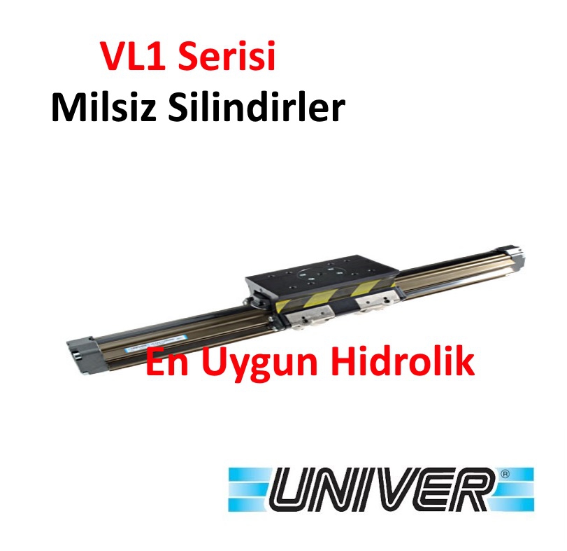 32X900 Üniver Rodless VL1 Serisi Yataklı Milsiz Silindir Yastıklı