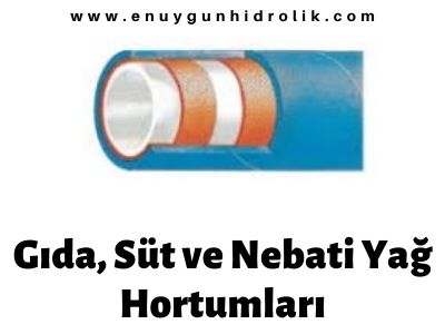 GIDA HORTUMLARI