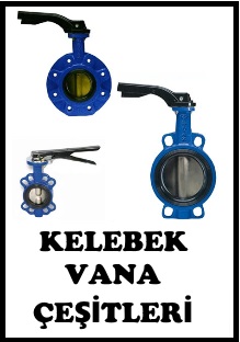 KELEBEK VANA ÇEŞİTLERİ