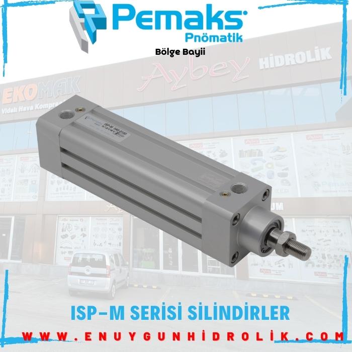 ISP-M SERİSİ SİLİNDİRLER